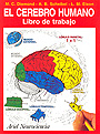 El cerebro humano. Libro de trabajo.