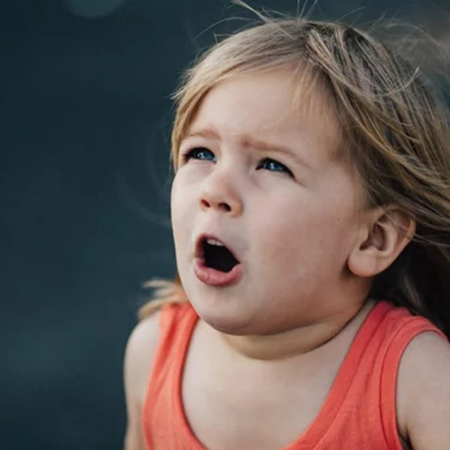 La ecolalia en el trastorno del Espectro Autista