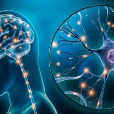 �Qu� es la neuropsicolog�a?