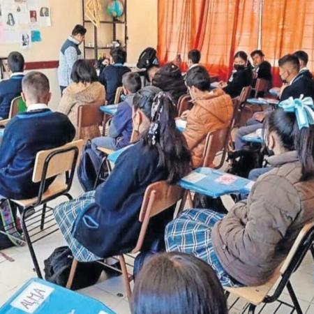 El v�nculo entre el lenguaje y el aprendizaje: El papel de la escuela