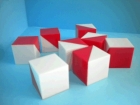 Cubos de Kohs. 9 Cubos de plástico blanco y rojos.