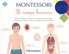 Montessori. El cuerpo humano