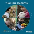 Tinc una mascota!.