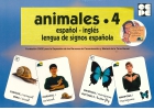 Vocabulario fotográfico elemental - animales 4 (insectos)