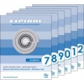 Cuadernos Espiral Morfosintaxis (Bloque 2)