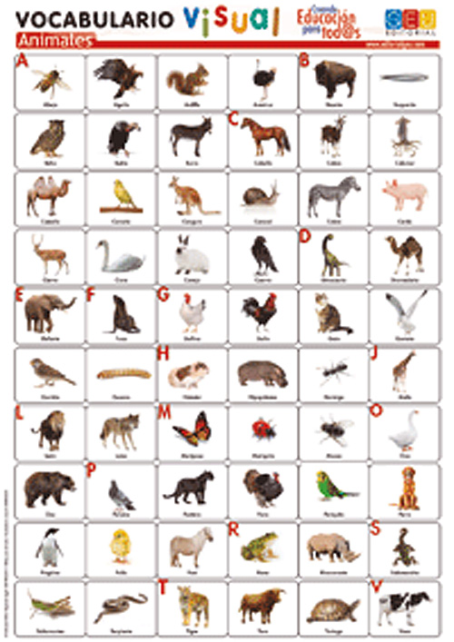 ☆ Lámina de vocabulario visual: Animales ® Editorial GEU Mexico