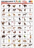 Láminas de vocabulario visual - Animales