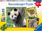 Panda, tigre y león. Puzzle 3x49 piezas