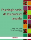 Psicologa social de los procesos grupales.